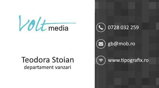 model carte de vizita