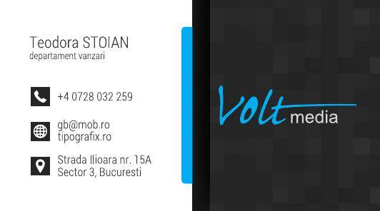 model carte de vizita